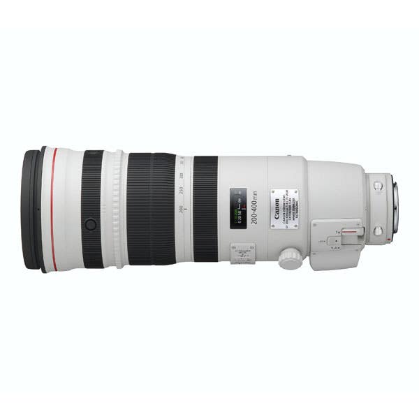 Canon EF 200-400mm f4L IS USM + 1.4x Tele-converter