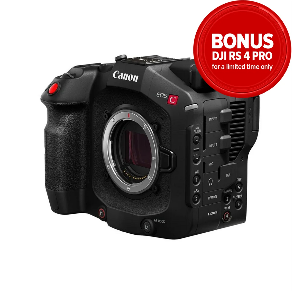 Canon EOS C80 Cinema EOS - Bonus DJI RS4 PRO Gimbal