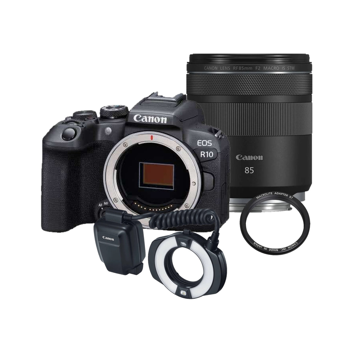 Canon EOS R10 + RF 85mm F2 Macro & MR-14EX II Ring Flash Kit