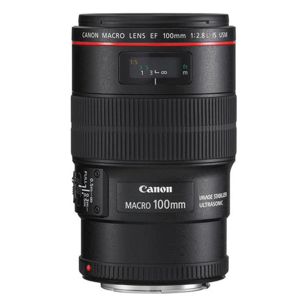 Canon EF 100mm f2.8 L Macro IS USM