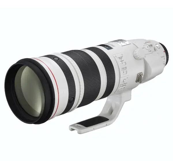 Canon EF 200-400mm f4L IS USM + 1.4x Tele-converter | Secondhand
