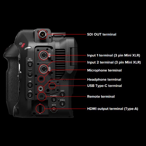Canon EOS C80 Cinema EOS