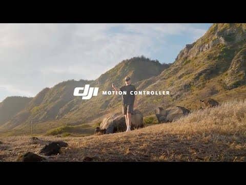 DJI Avata Pro View Combo FPV w/DJI Goggles 2