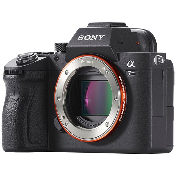 Sony A7 Mark III + 24-105mm f4 Kit