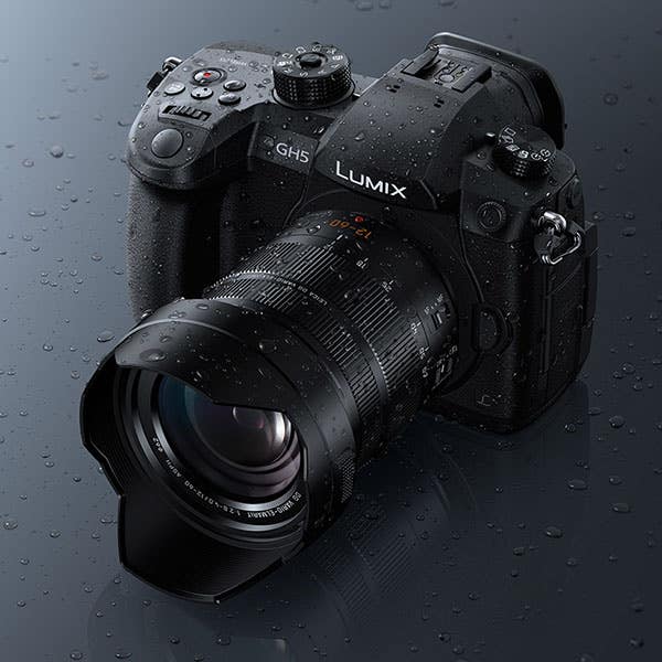 Panasonic Lumix GH5 + Leica 12-60mm F2.8-4