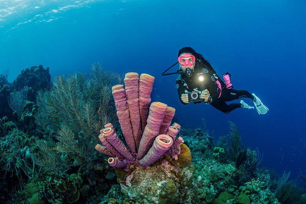 Sealife Micro 3.0 UW Explorer Set - Includes 2000F Light