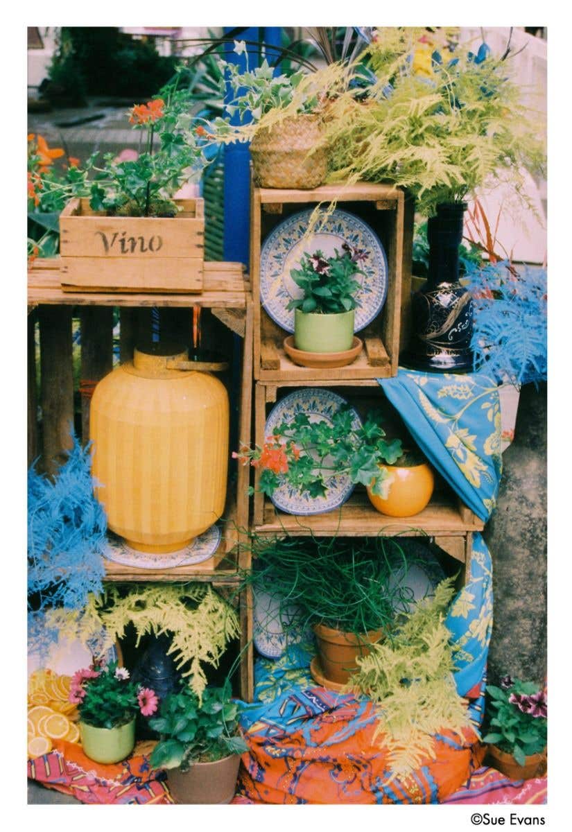 Phoenix II 135 36exp 200 ISO 35mm Film