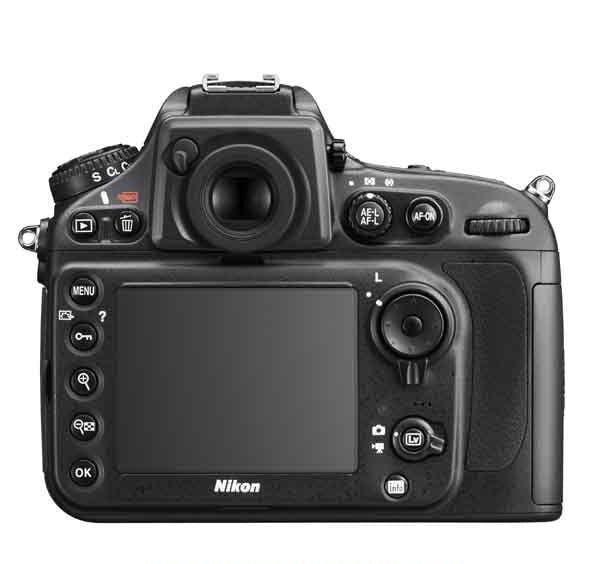 Nikon D800 Body | Secondhand