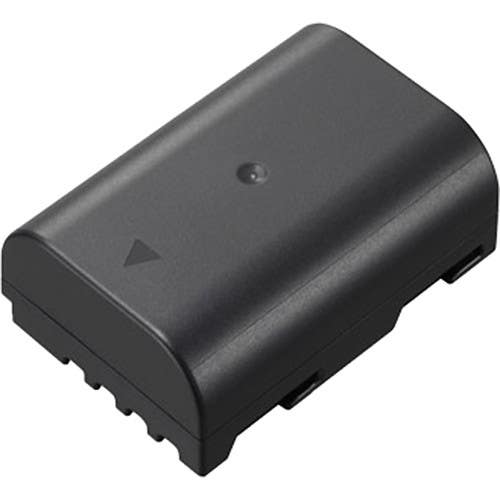 Panasonic DMW-BLF19 Battery