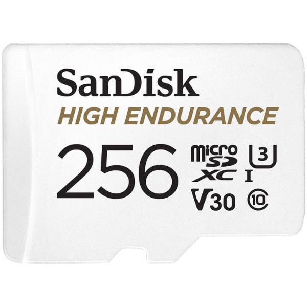 SanDisk 256GB High Endurance Micro SDHC Card 100MB/s R