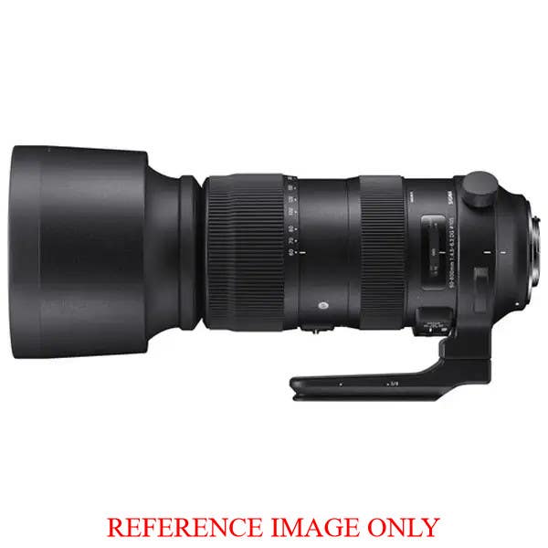 Sigma AF 60-600mm F4.5-6.3 DG OS Sport - Nikon | Secondhand