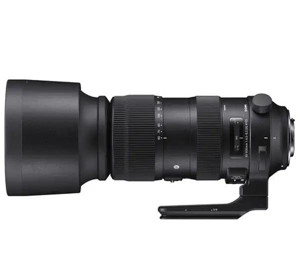 Sigma AF 60-600mm F4.5-6.3 DG OS Sport - Nikon | Secondhand