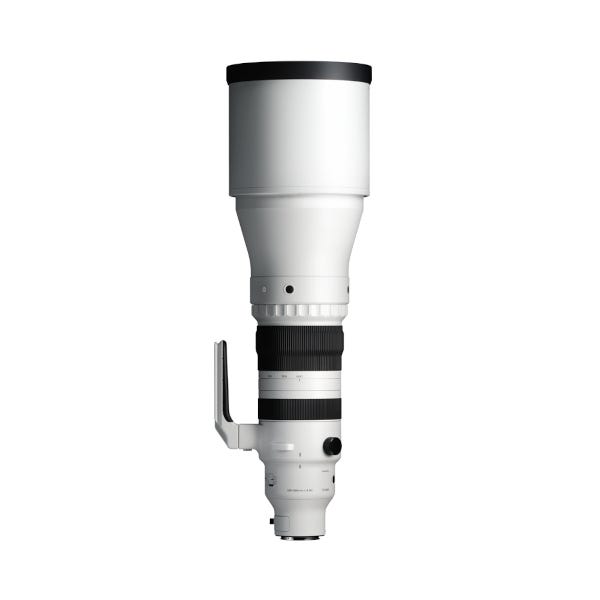 Sigma 300-600mm F4 DG OS Sports - L Mount