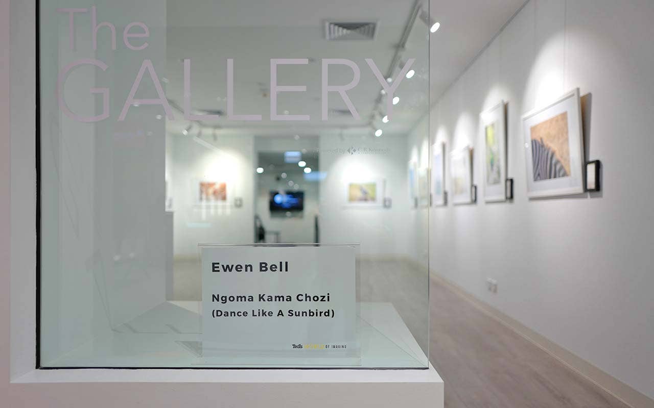 Ewen Bell Exhibition