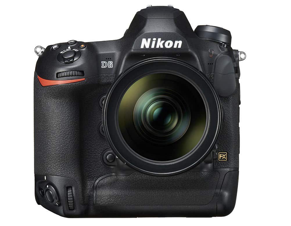 Nikon D6 & 120-300mm Teaser